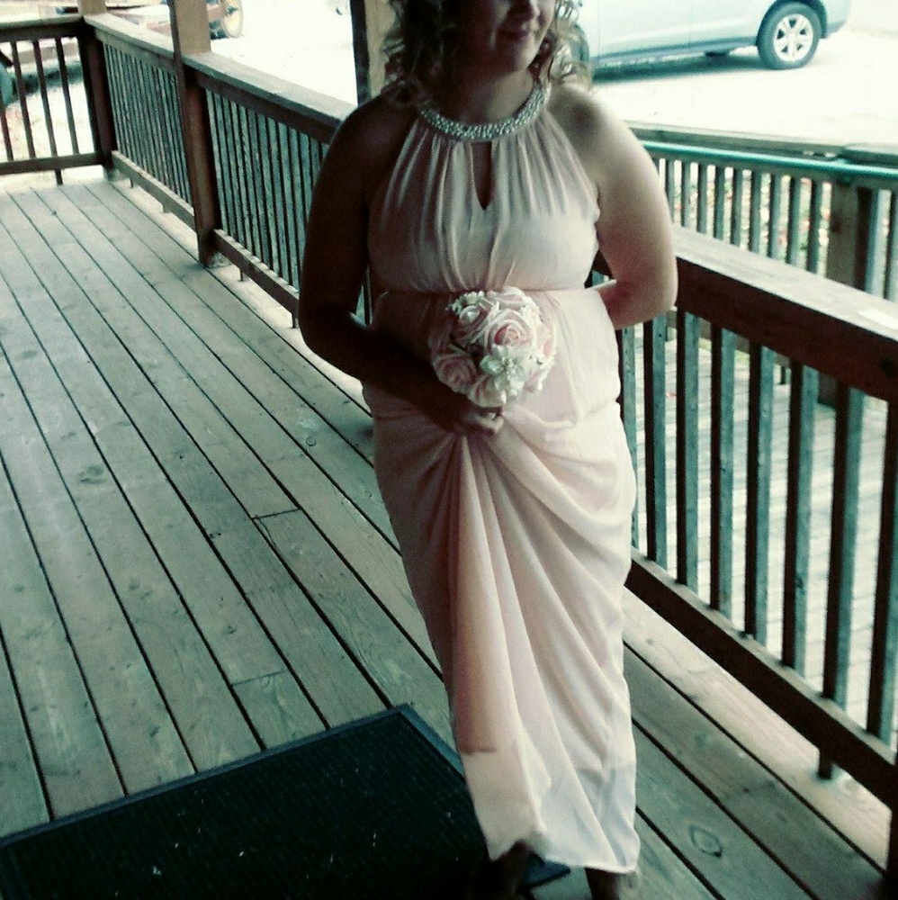 Blush Pink Dress - Picture 4 of 4